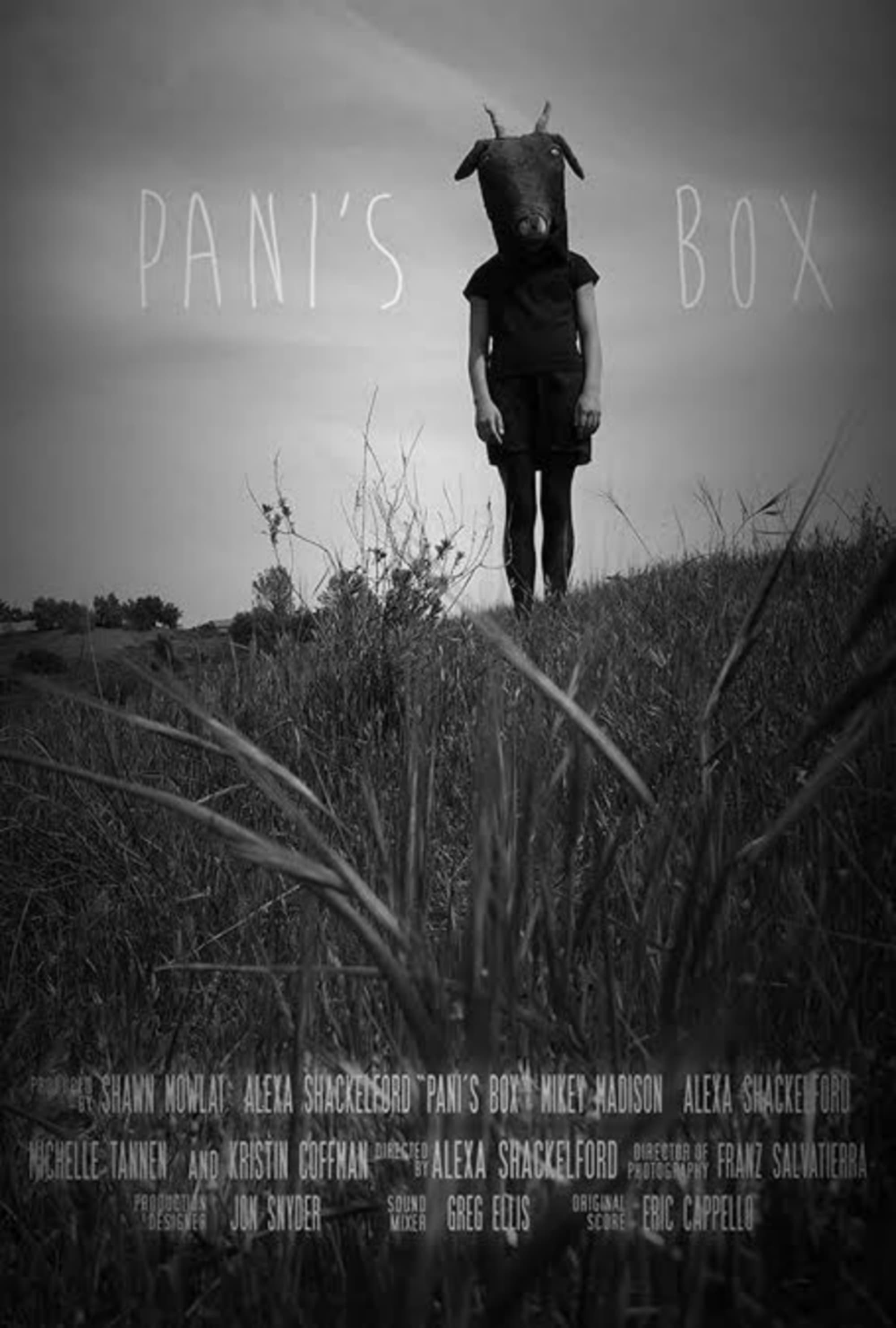 Pani's Box | Pani's Box