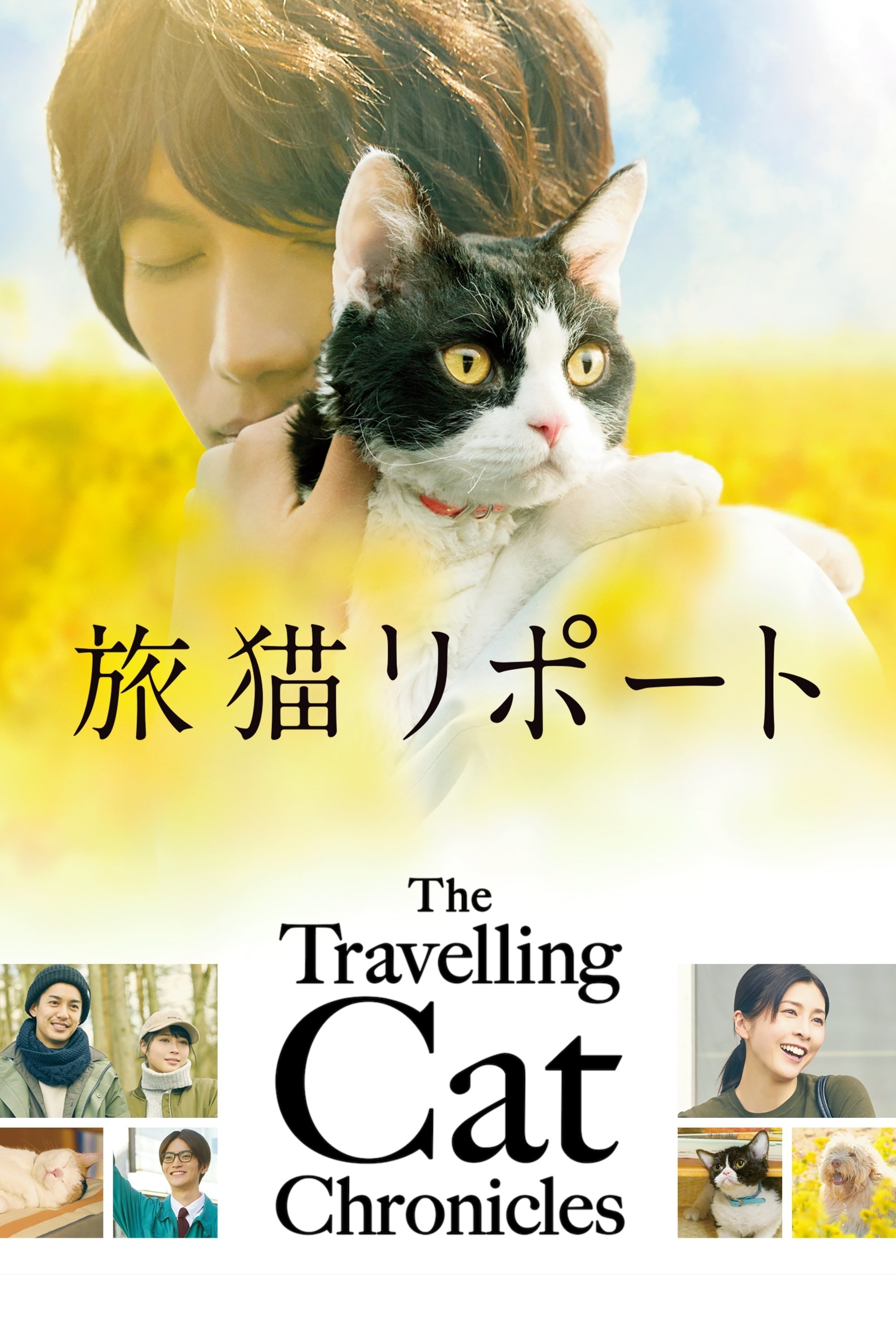 旅猫リポート