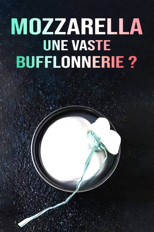 Mozzarella, une vaste bufflonnerie ? | Mozzarella, une vaste bufflonnerie ?