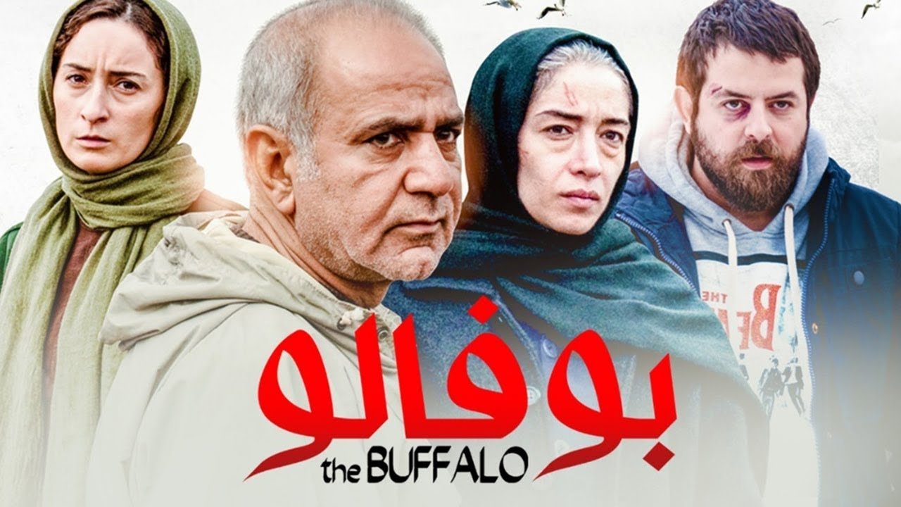 بوفالو|بوفالو