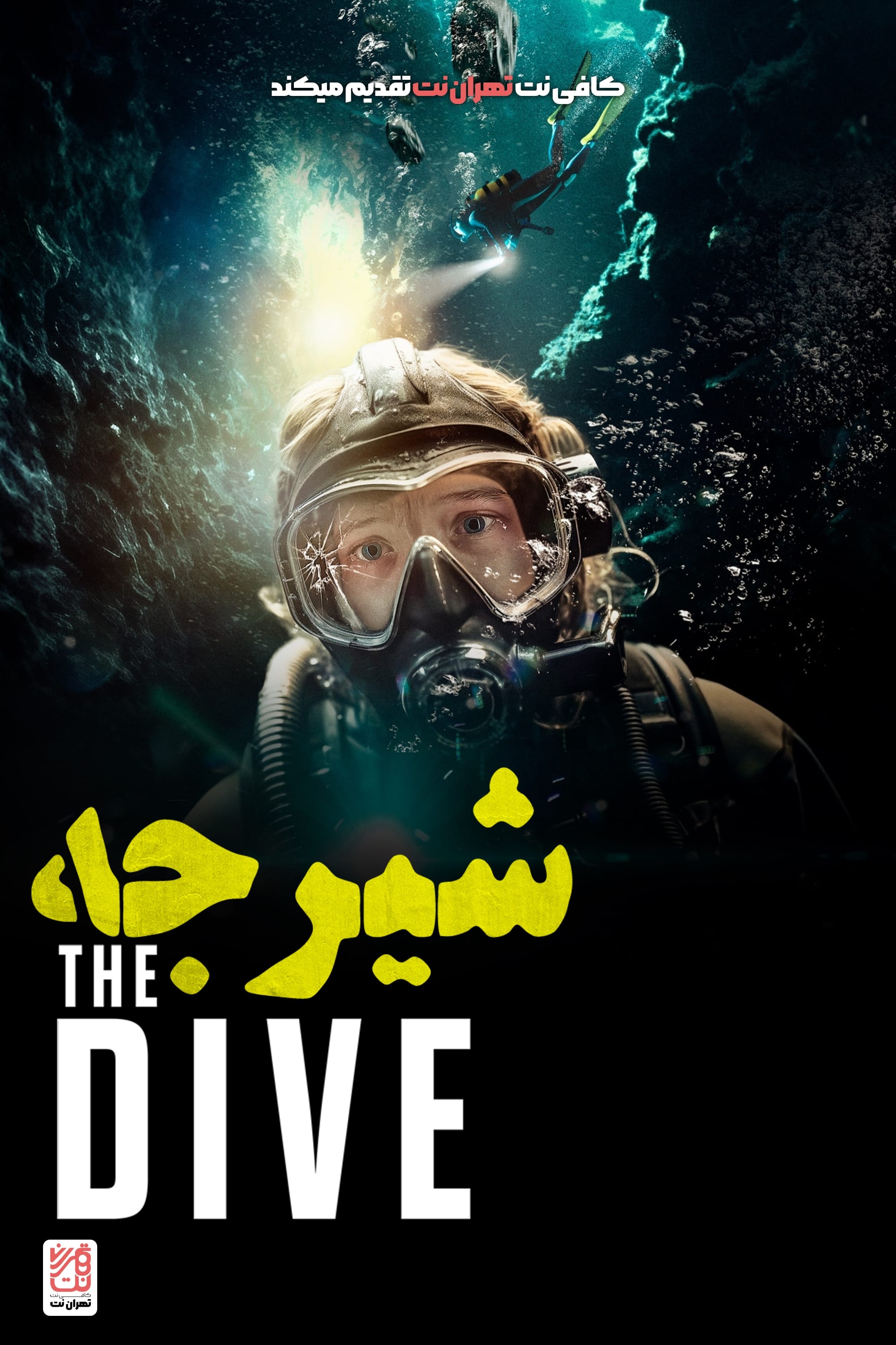 The Dive | The Dive