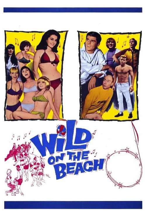 Wild on the Beach | Wild on the Beach