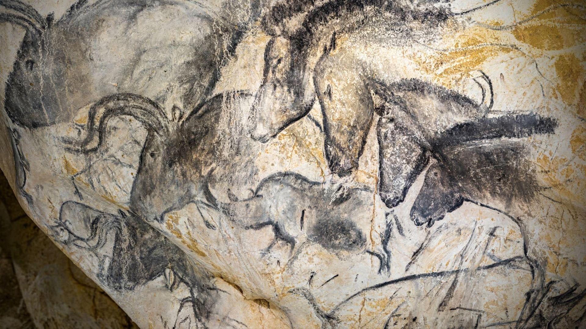 Grotte Chauvet - Dans les pas des artistes de la Préhistoire|Grotte Chauvet - Dans les pas des artistes de la Préhistoire