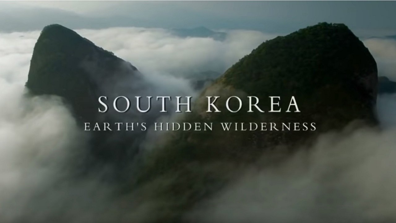 South Korea: Earth's Hidden Wilderness|South Korea: Earth's Hidden Wilderness