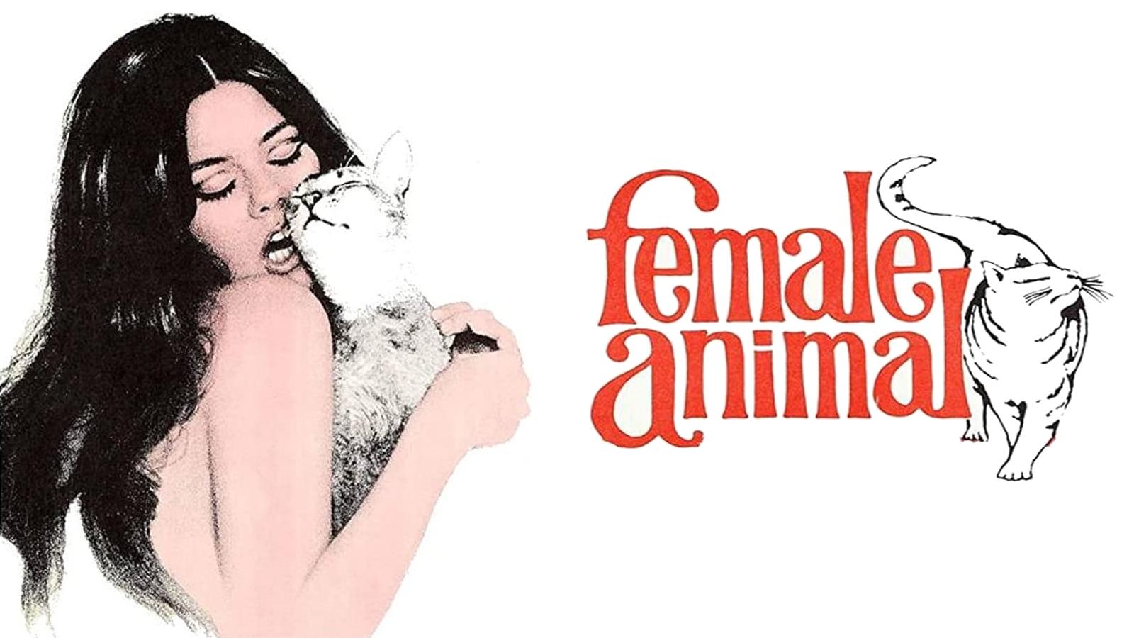 Female Animal|Female Animal