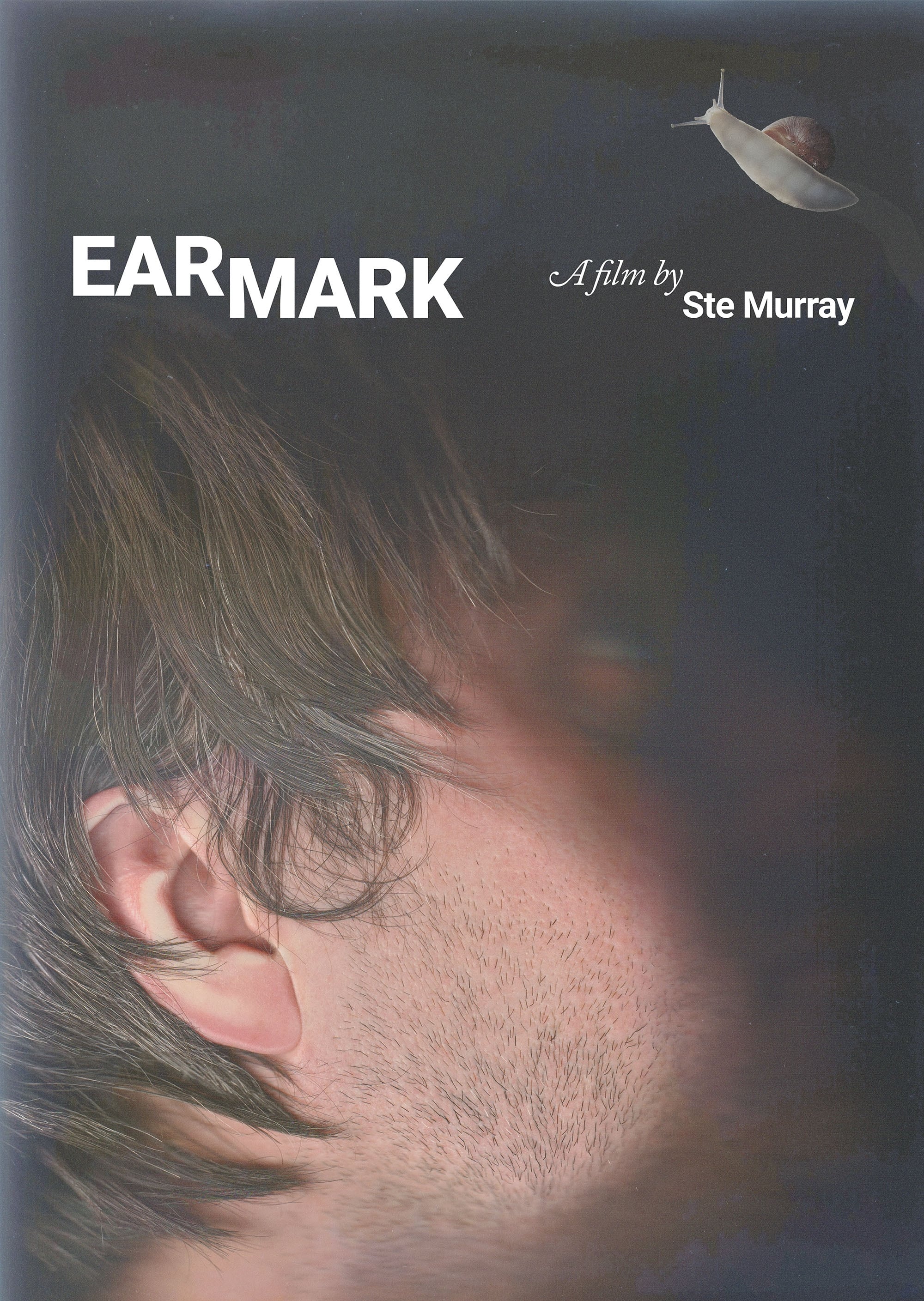 Earmark | Earmark