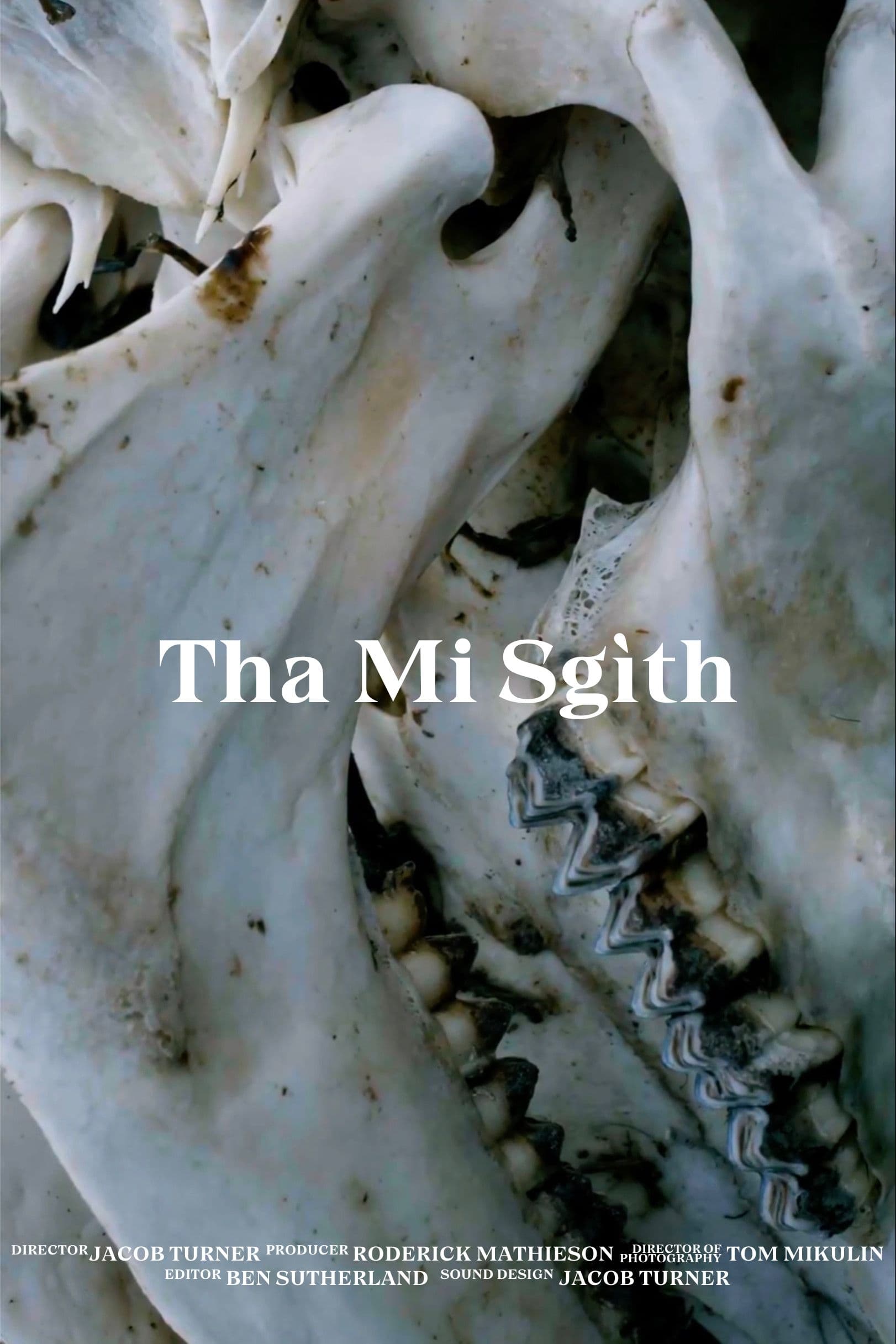 Tha Mi Sgìth | Tha Mi Sgìth