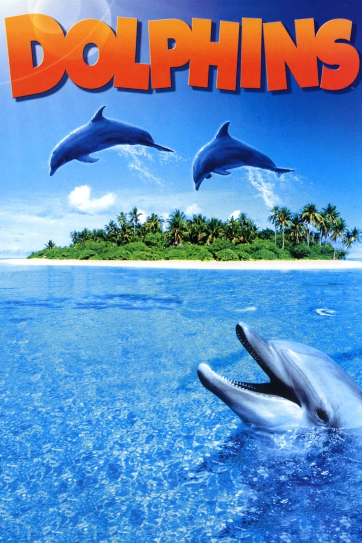 Dolphins | Dolphins