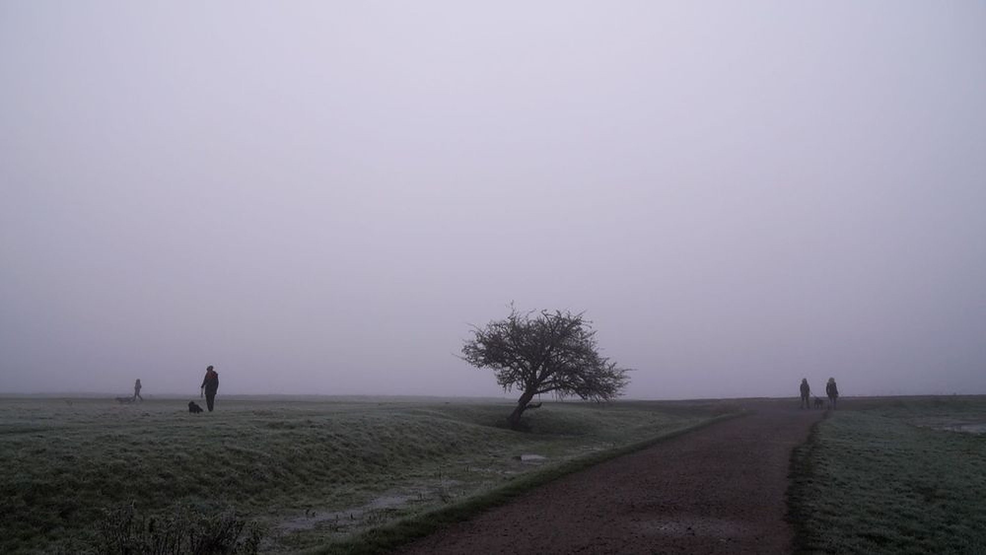 Port Meadow|Port Meadow