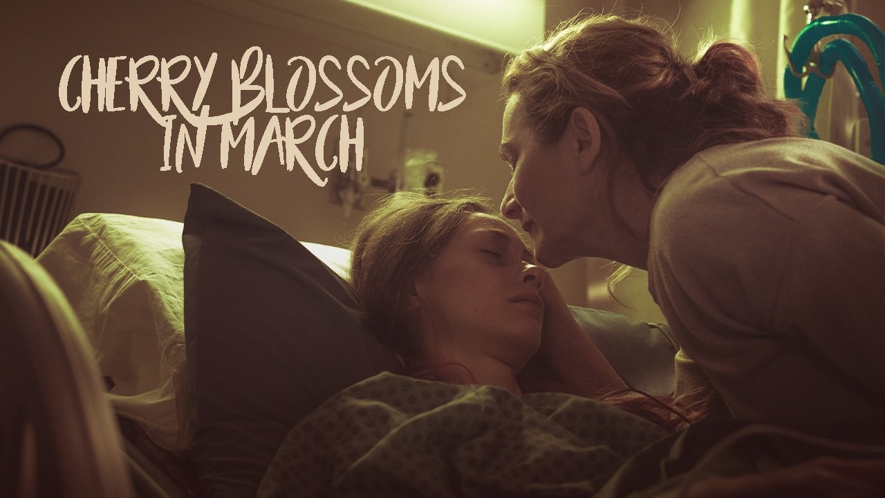 Cherry Blossoms in March|Cherry Blossoms in March