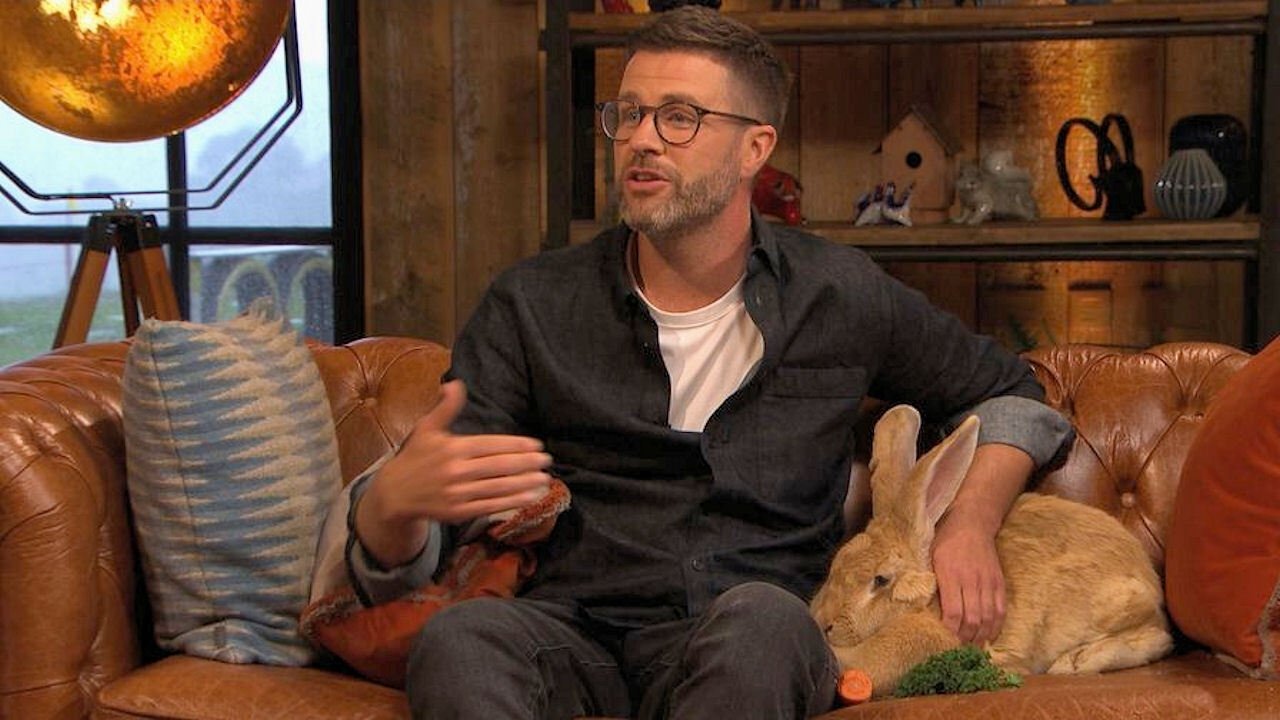 The Pet Show|The Pet Show