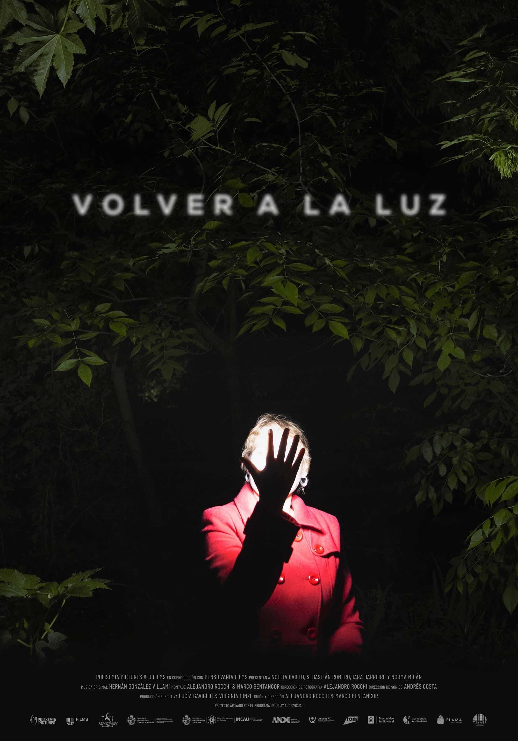 Volver a la luz | Volver a la luz