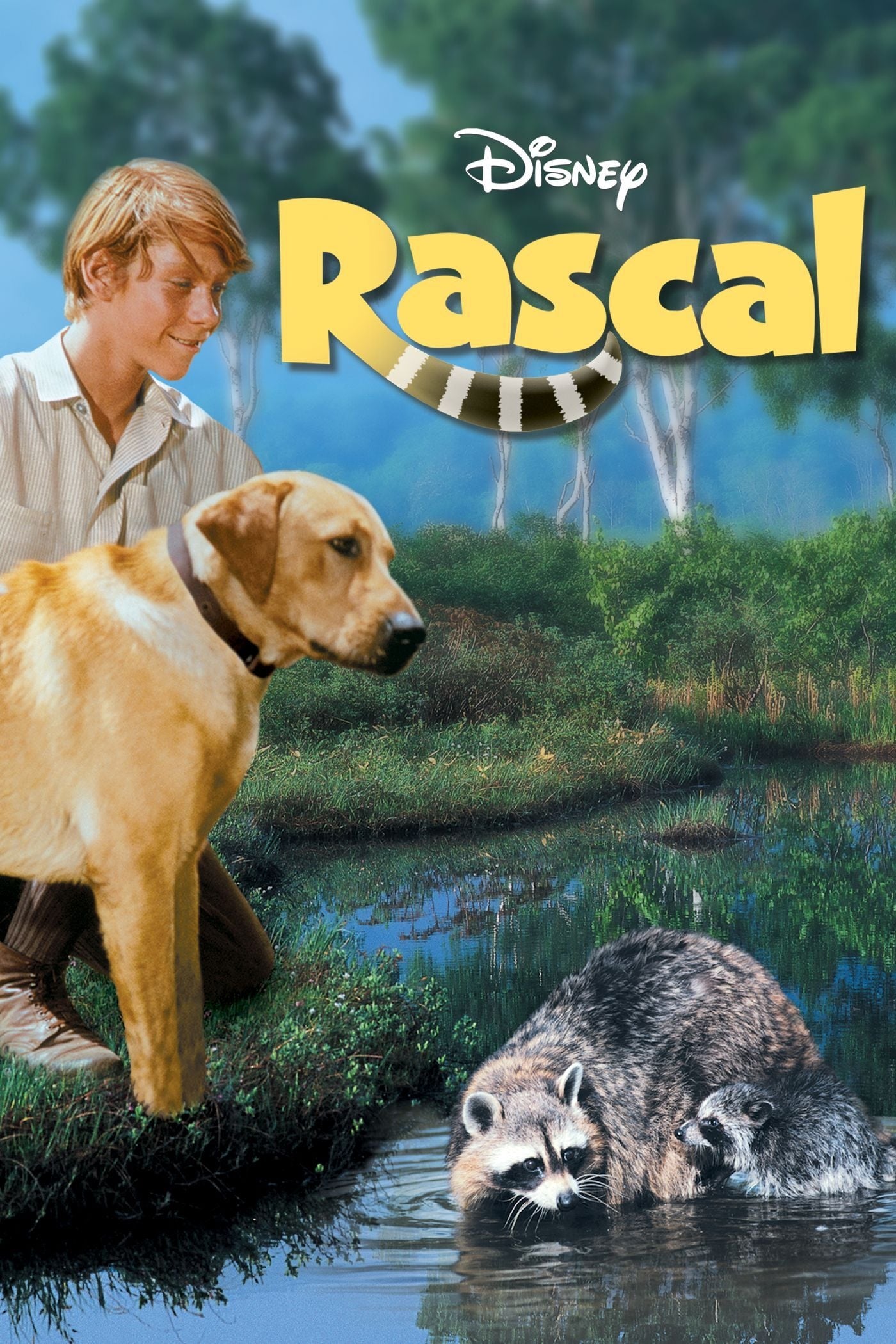 Rascal | Rascal