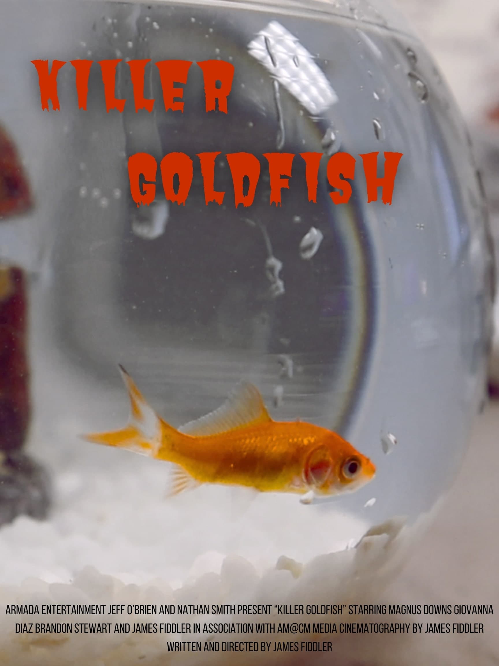 Killer Goldfish | Killer Goldfish