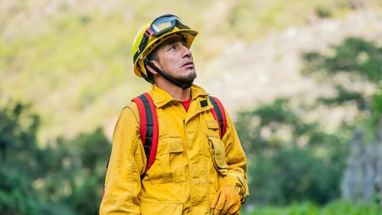 Los Guardianes de Machupicchu|Los Guardianes de Machupicchu