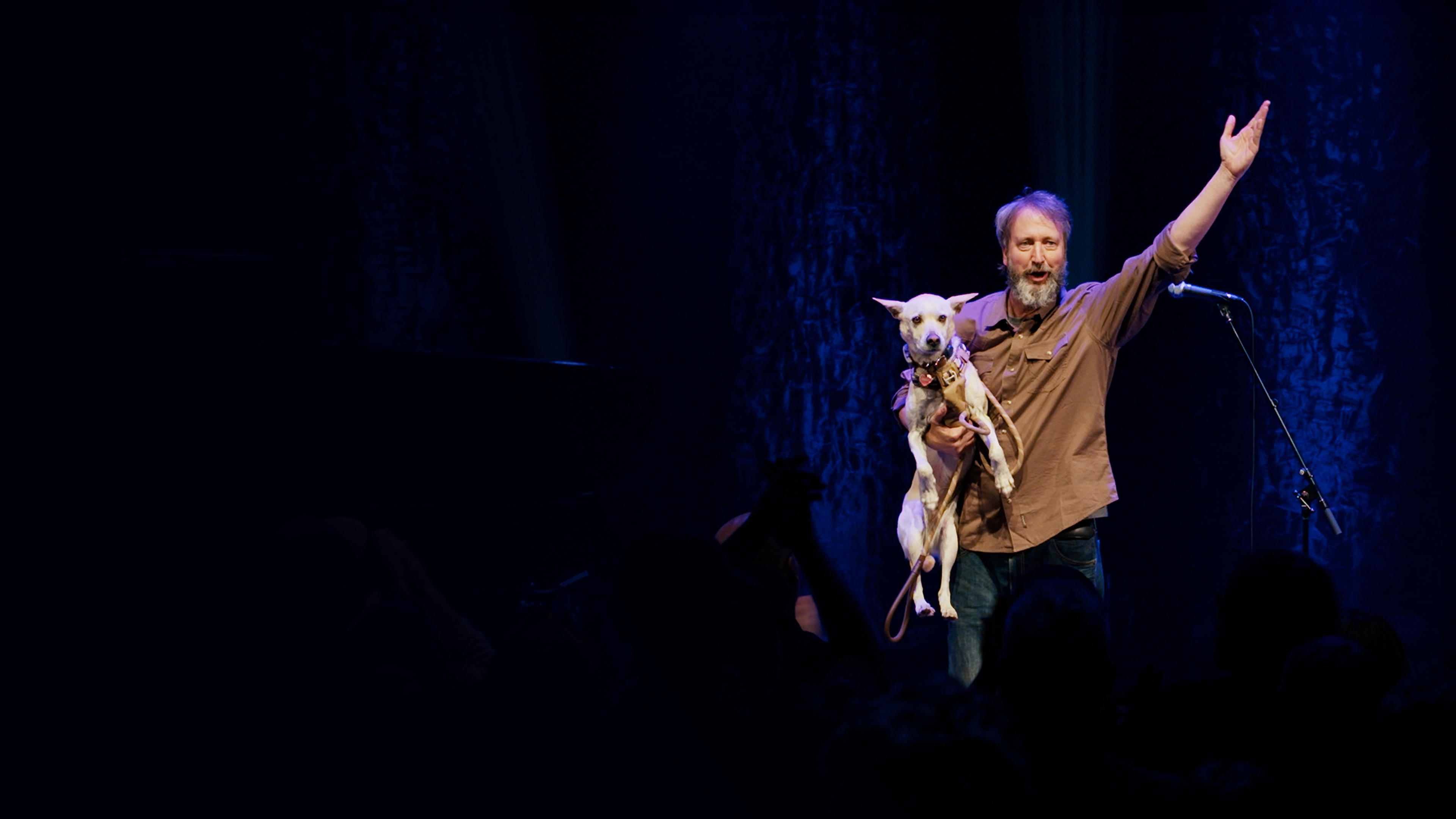 Tom Green: I Got a Mule!|Tom Green: I Got a Mule!