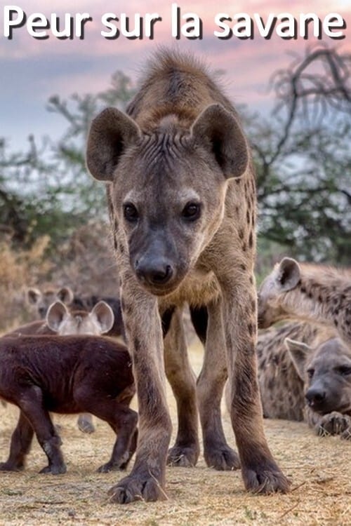 Peur sur la savane | Peur sur la savane