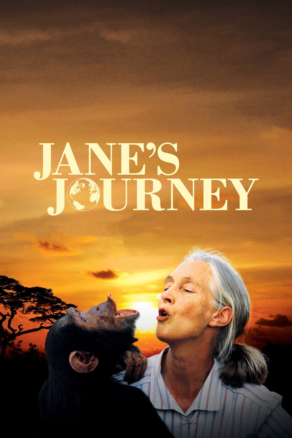 Jane's Journey | Jane's Journey