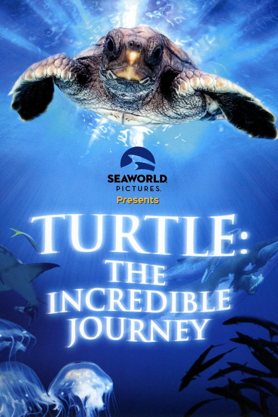 Turtle: The Incredible Journey | Turtle: The Incredible Journey