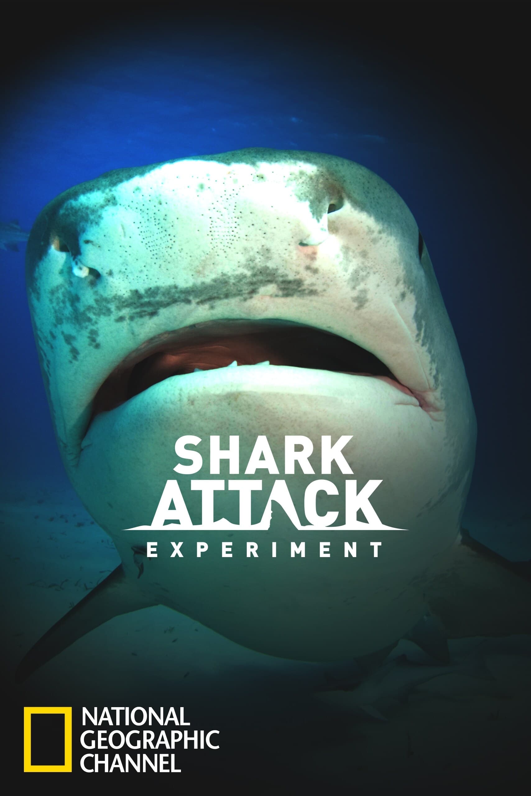 Shark Attack Experiment Live | Shark Attack Experiment Live