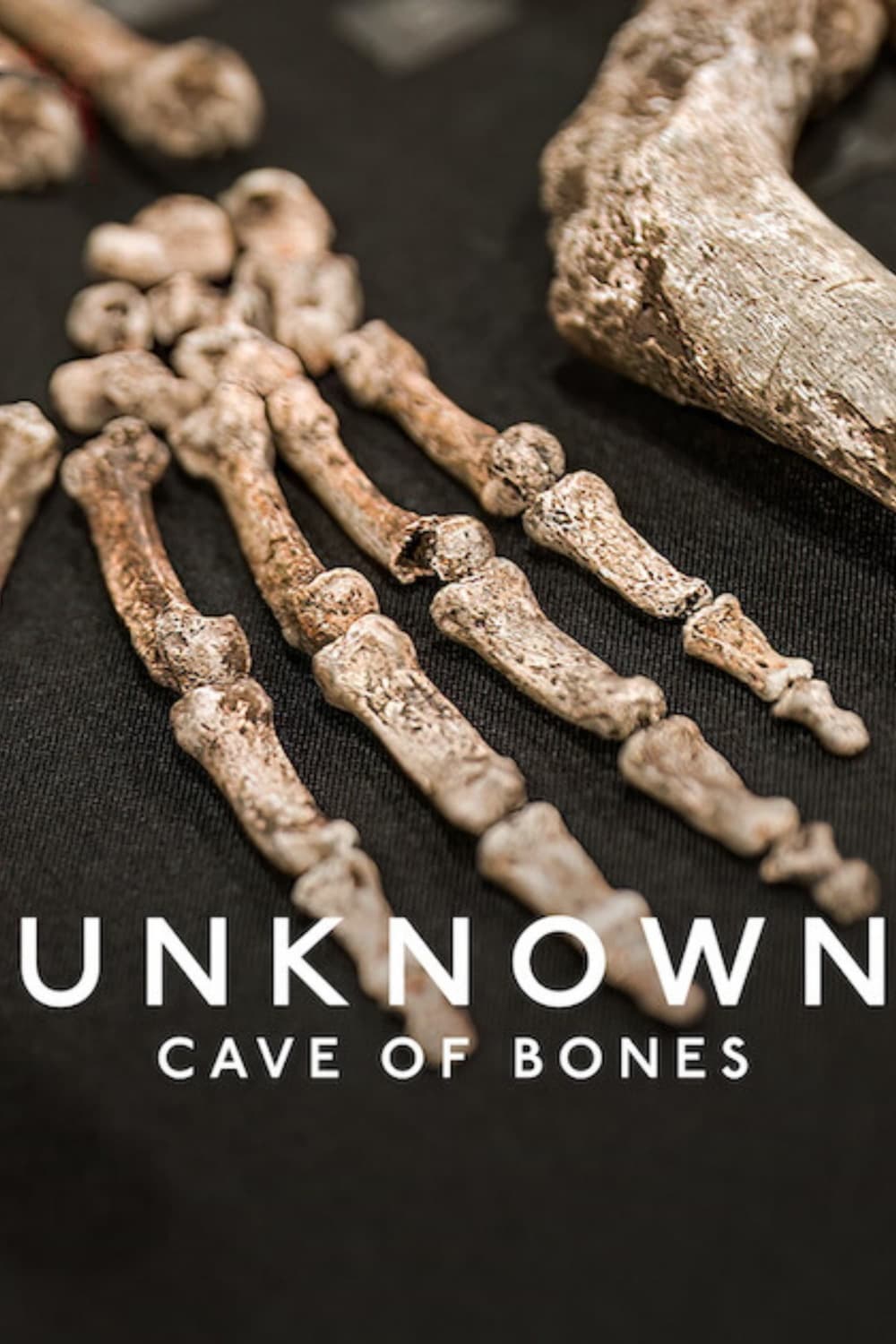 Unknown: Cave of Bones | Unknown: Cave of Bones