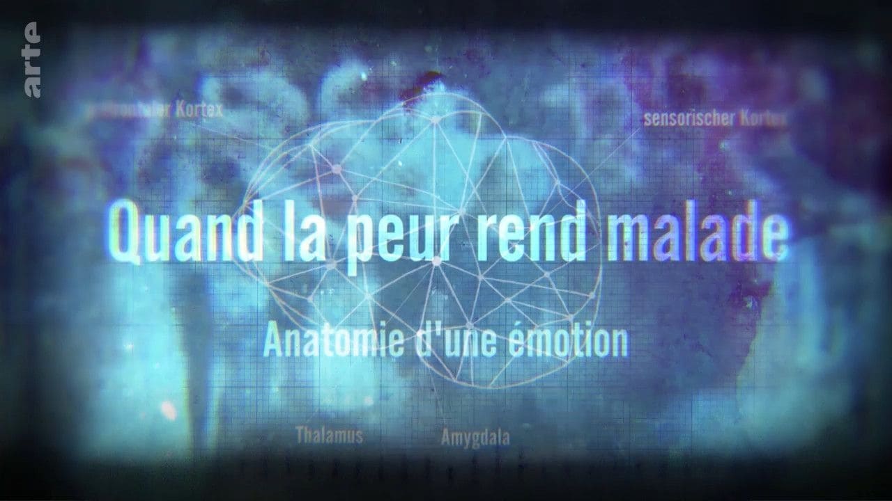 Quand la peur rend malade - Anatomie d'une émotion|Quand la peur rend malade - Anatomie d'une émotion