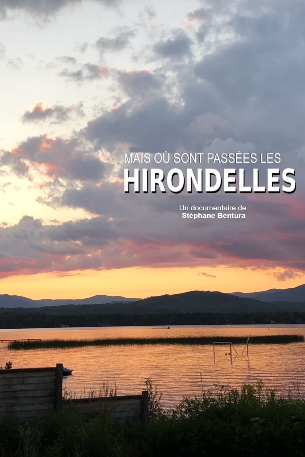 Où sont passées les hirondelles ? | Où sont passées les hirondelles ?