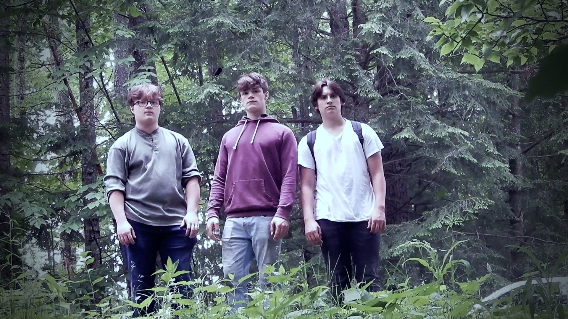 Lost In The Woods|Lost In The Woods