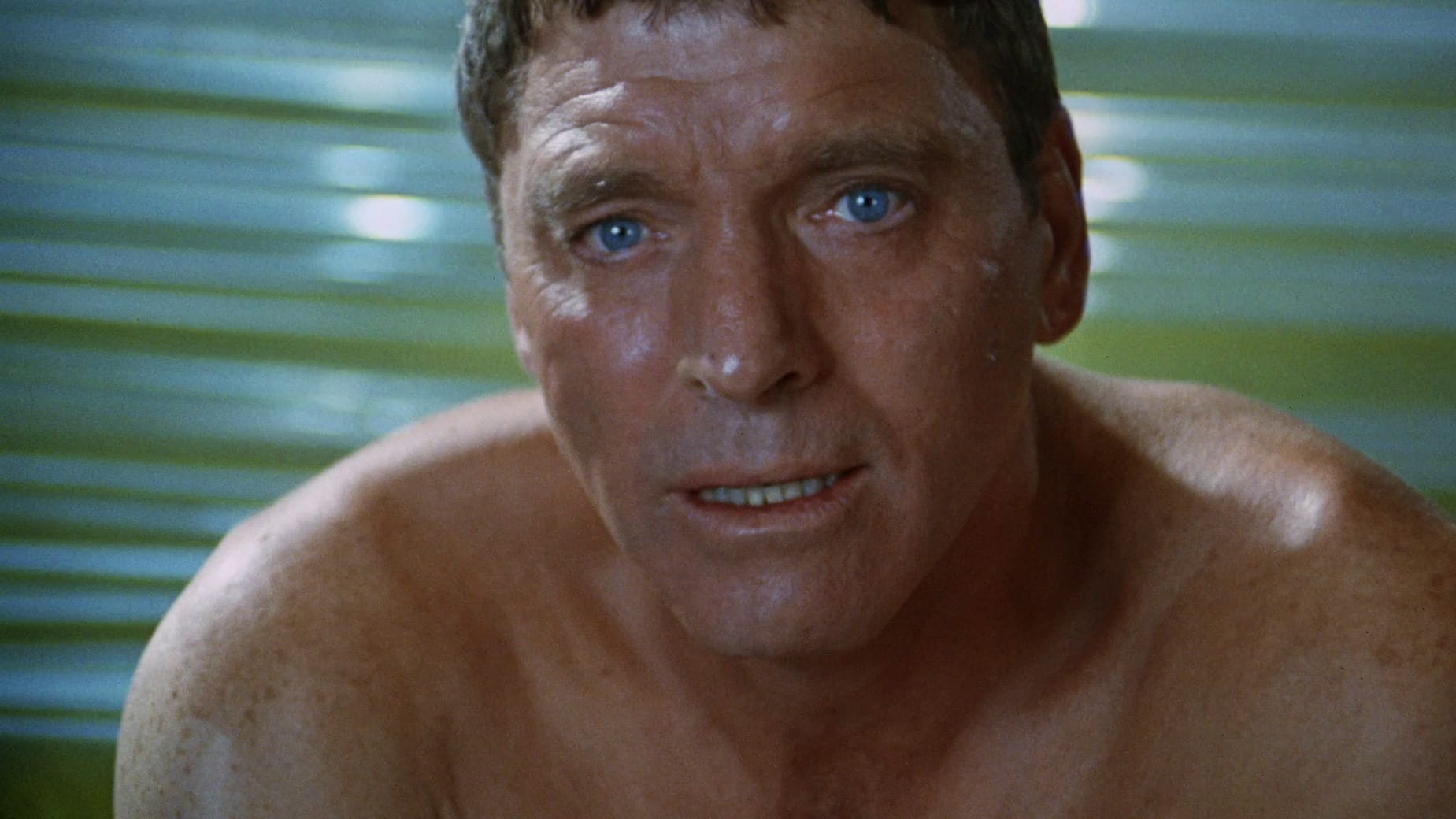 The Swimmer|The Swimmer