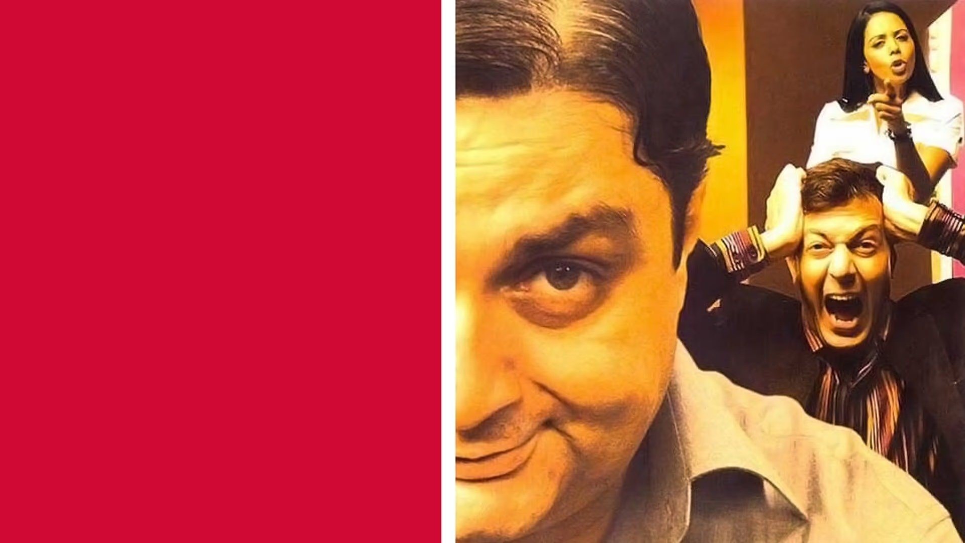 भेजा फ्राई|भेजा फ्राई