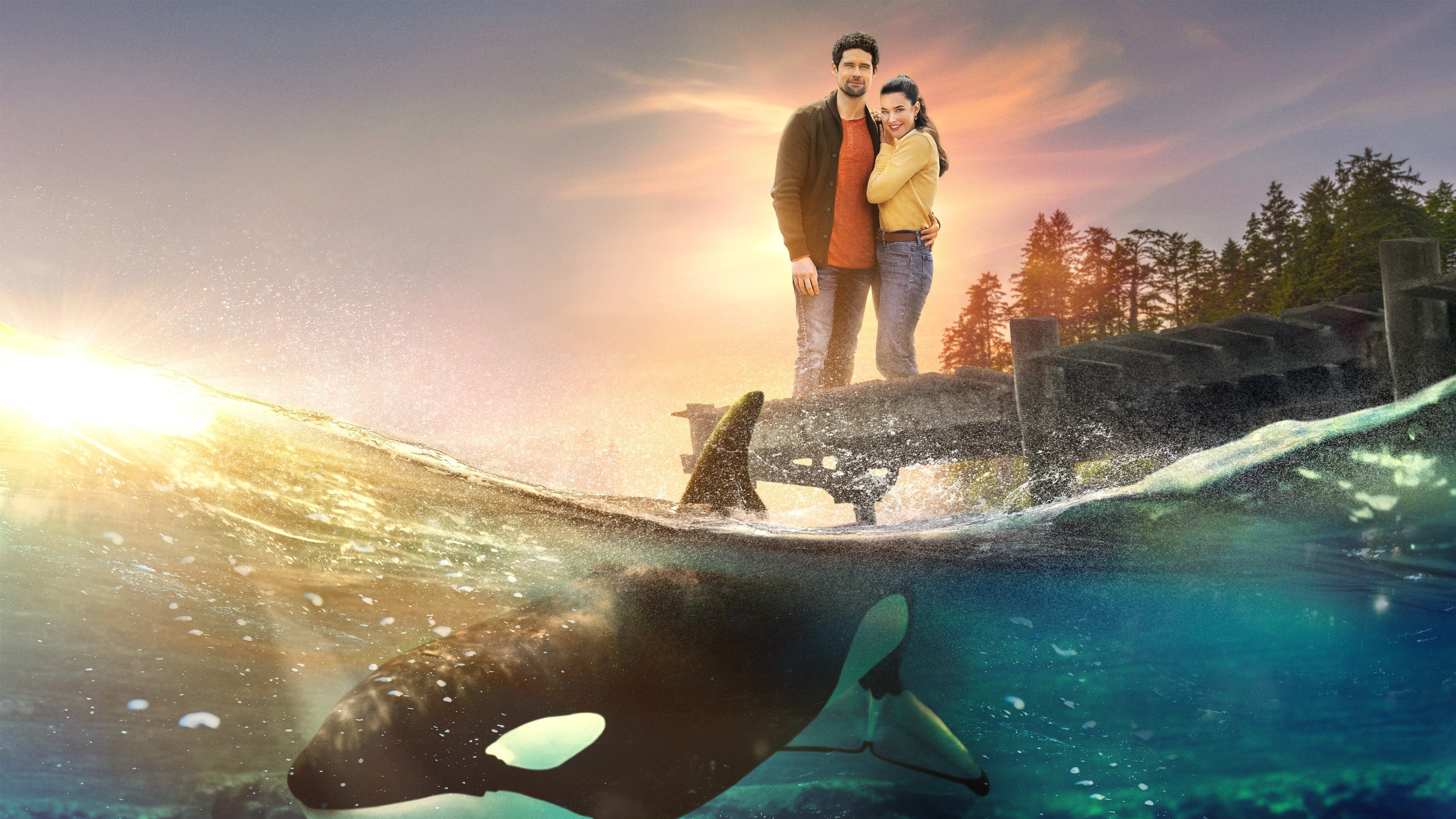 A Splash of Love|A Splash of Love