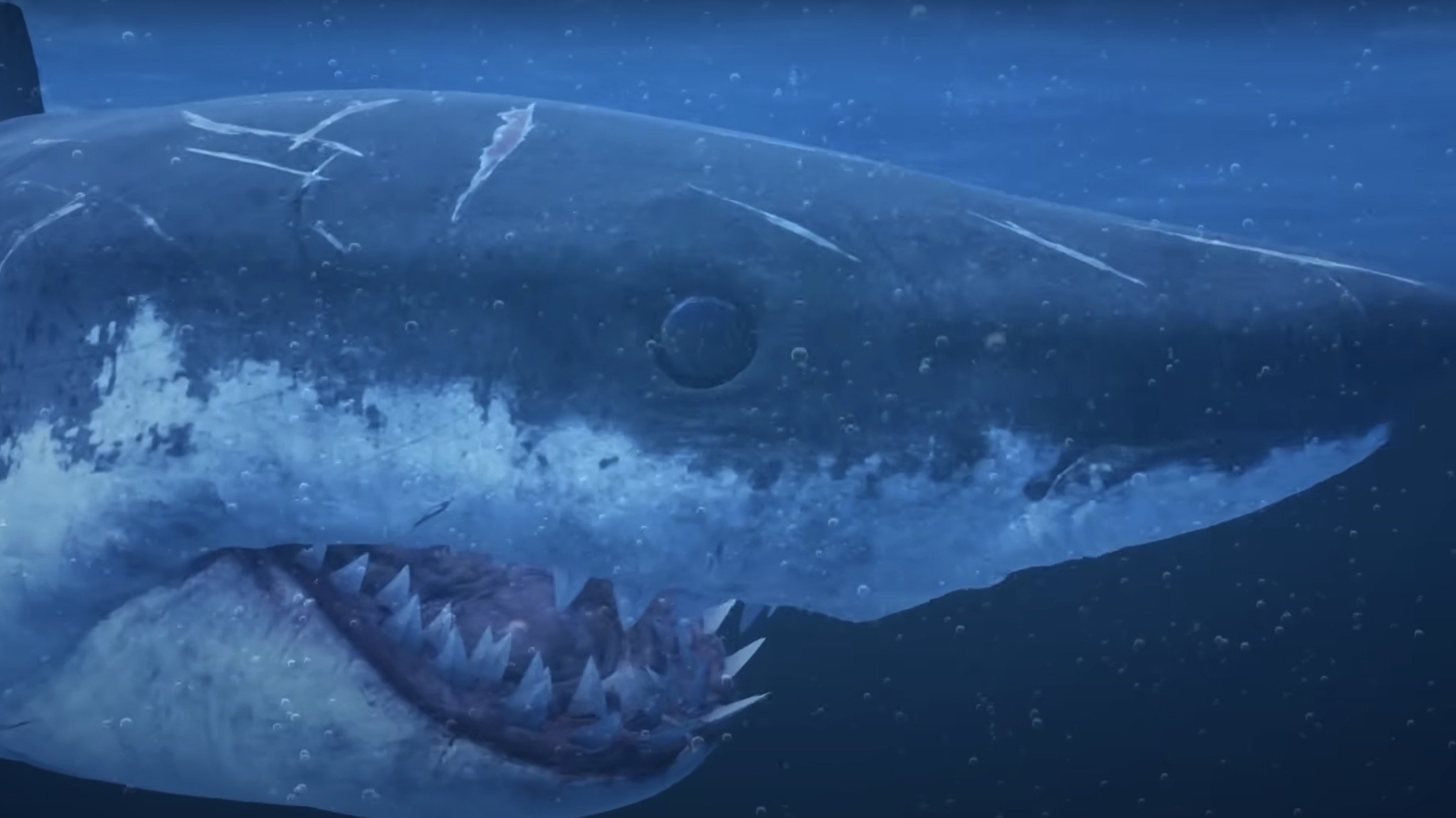 Mummy Shark|Mummy Shark