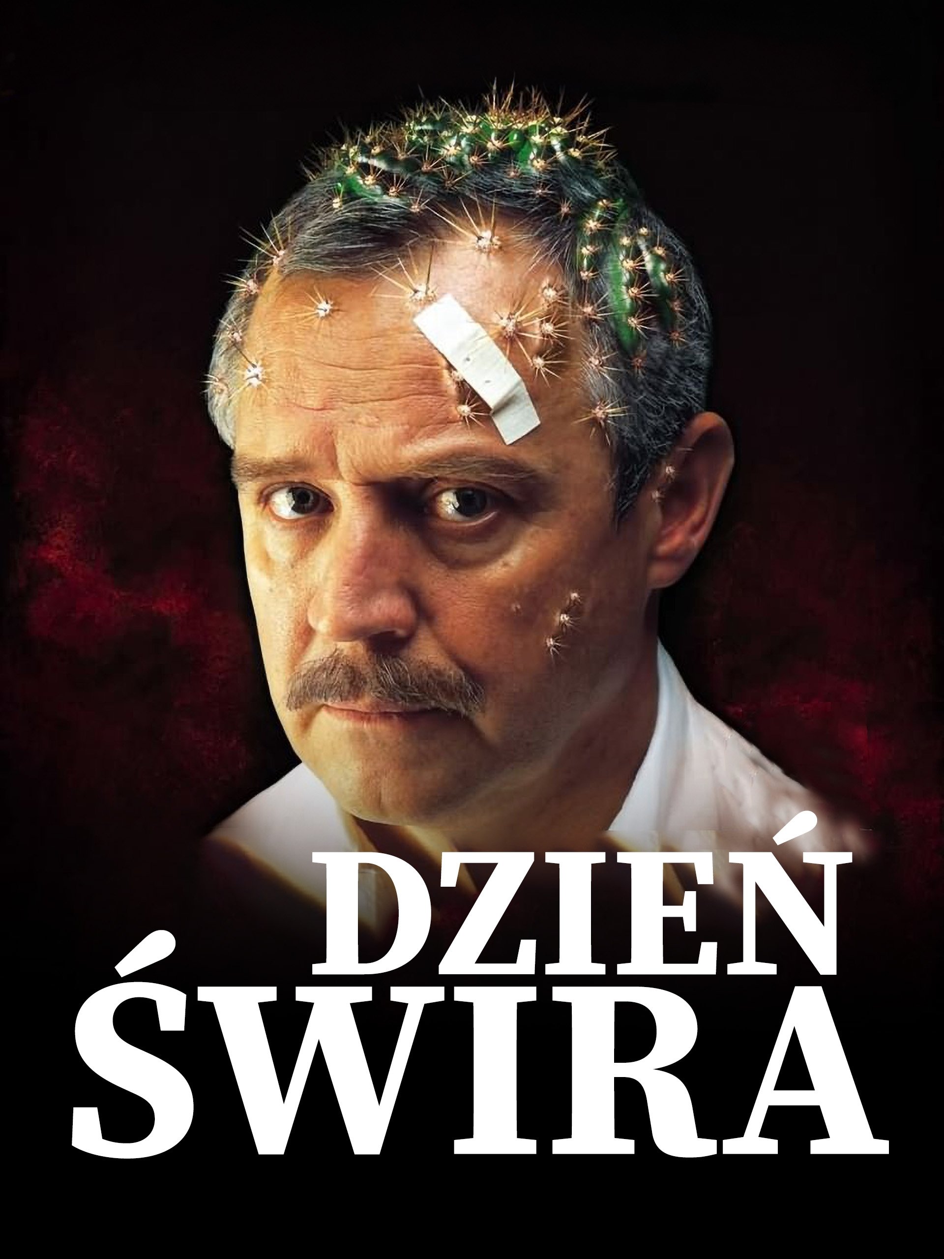 Dzień świra | Dzień świra