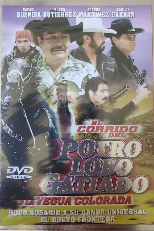 Corrido del potro lobo gatiado y la yegua colorada | Corrido del potro lobo gatiado y la yegua colorada