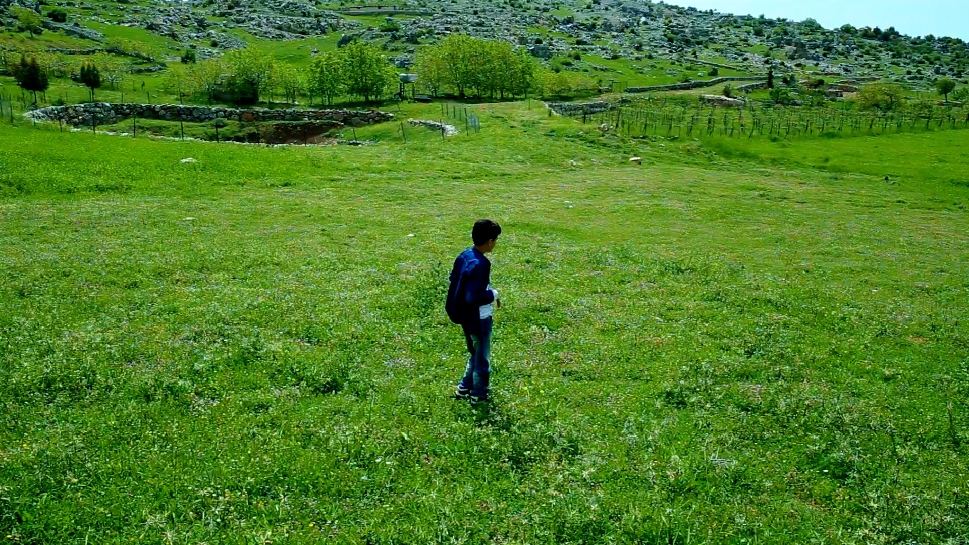 تصویر 0