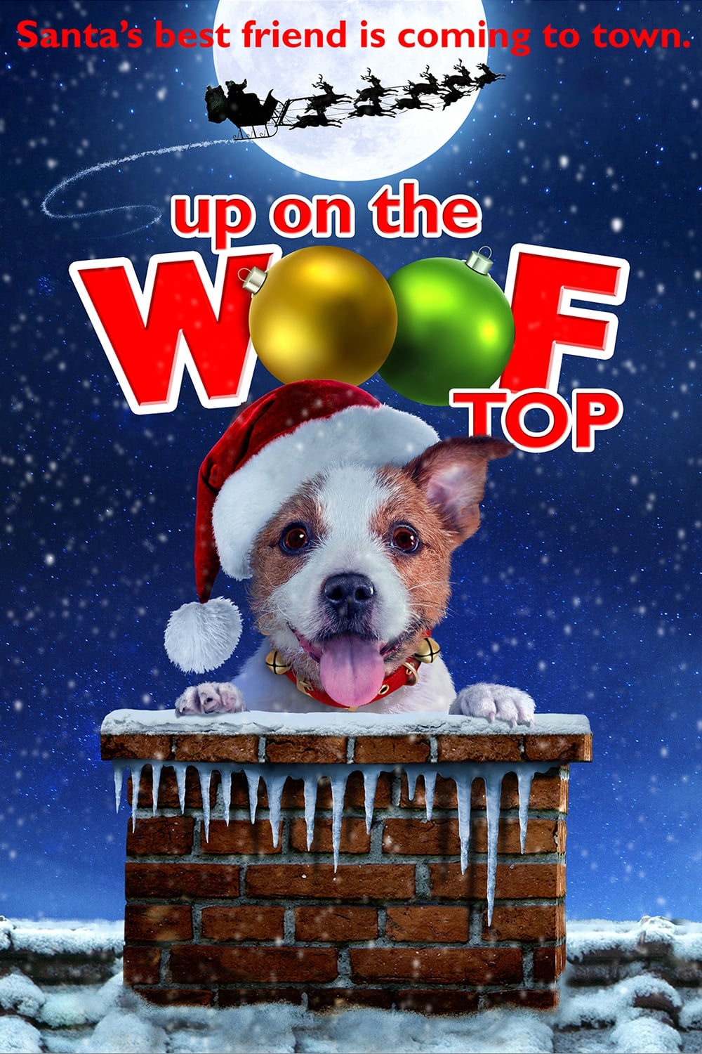 Up on the Wooftop | Up on the Wooftop