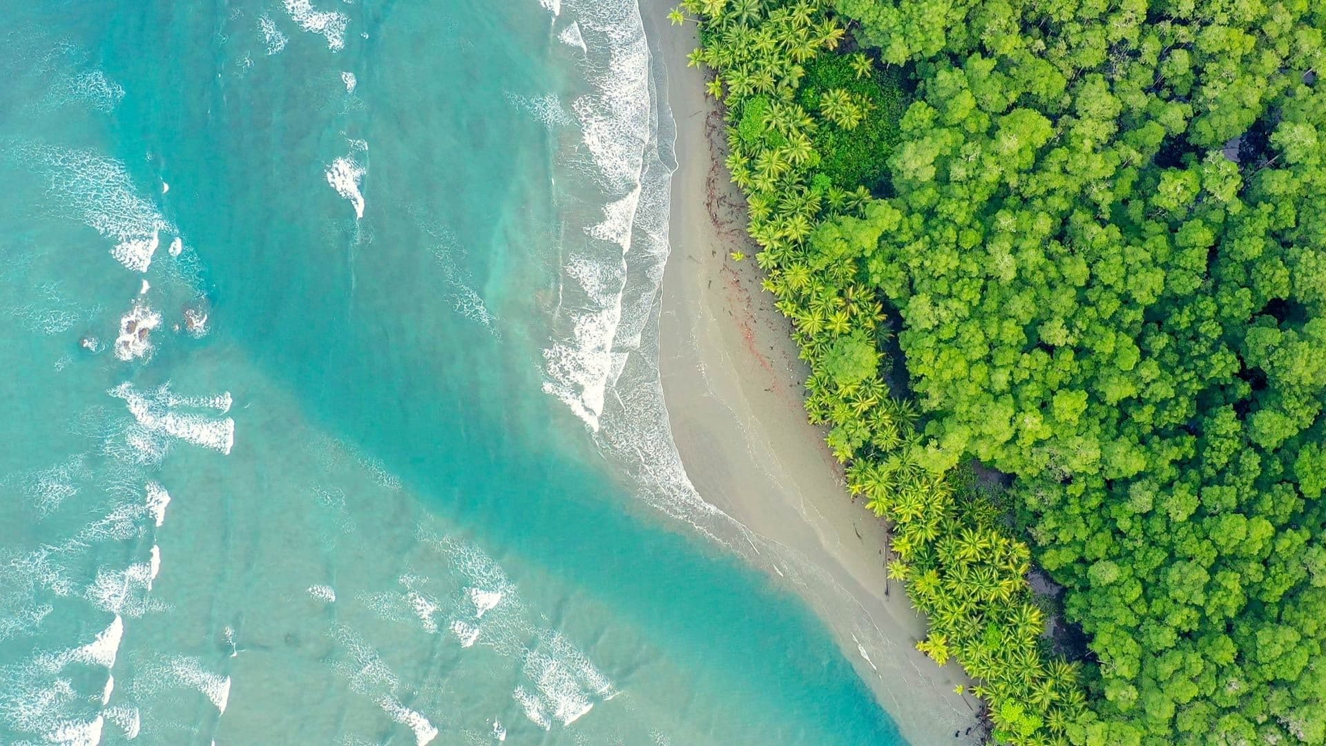 Costa Rica : Le réveil de la nature|Costa Rica : Le réveil de la nature