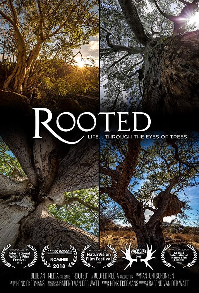 Rooted | Rooted