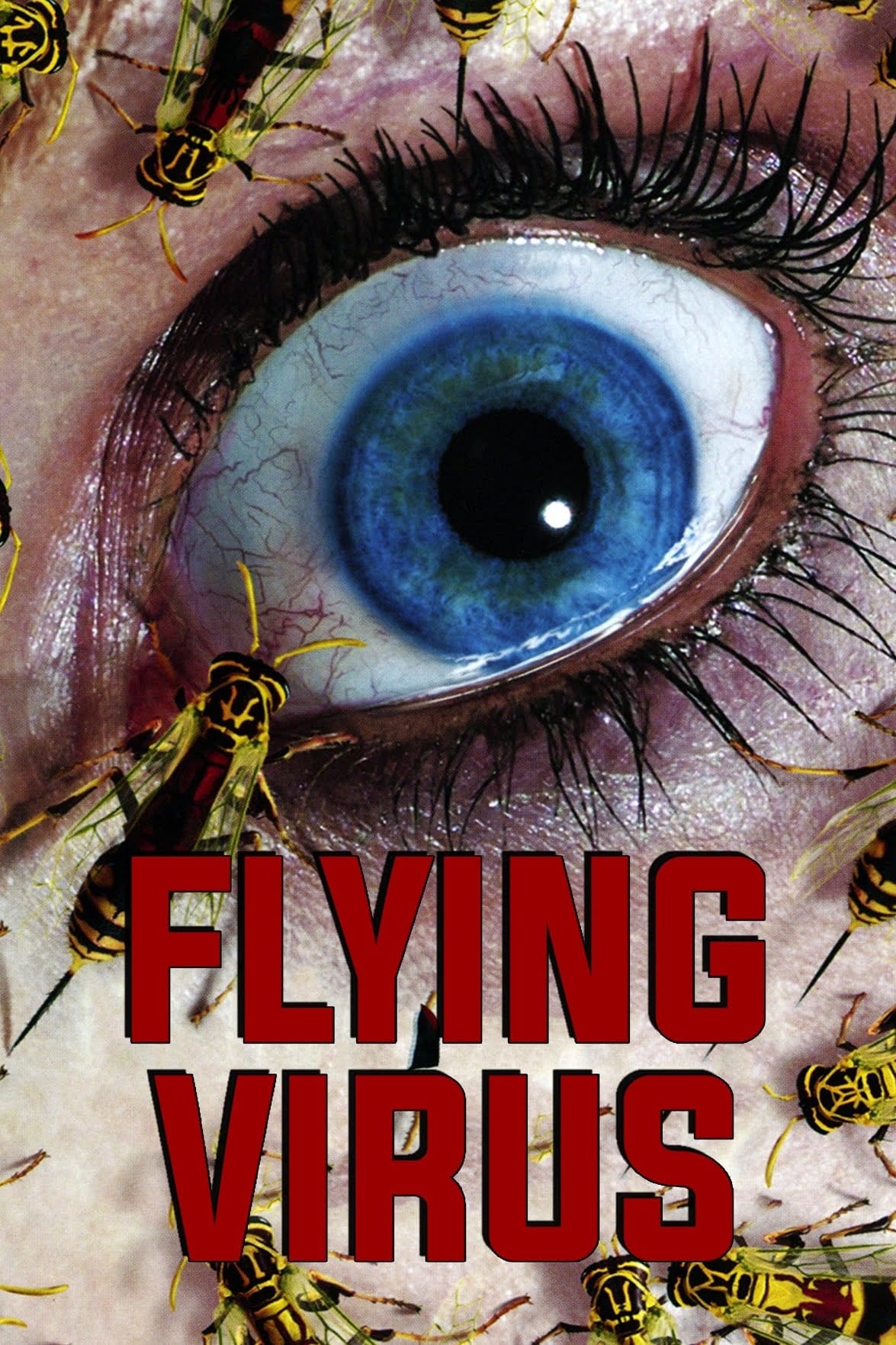 Flying Virus | Flying Virus