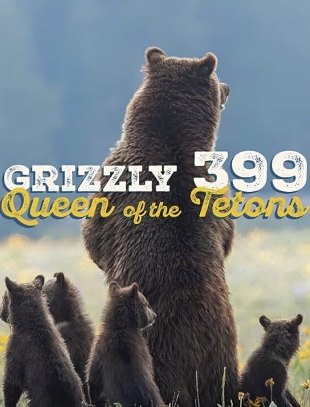 Grizzly 399: Queen of the Tetons | Grizzly 399: Queen of the Tetons