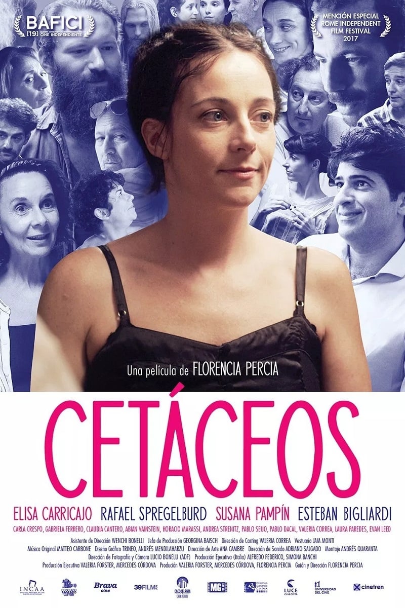 Cetáceos | Cetáceos