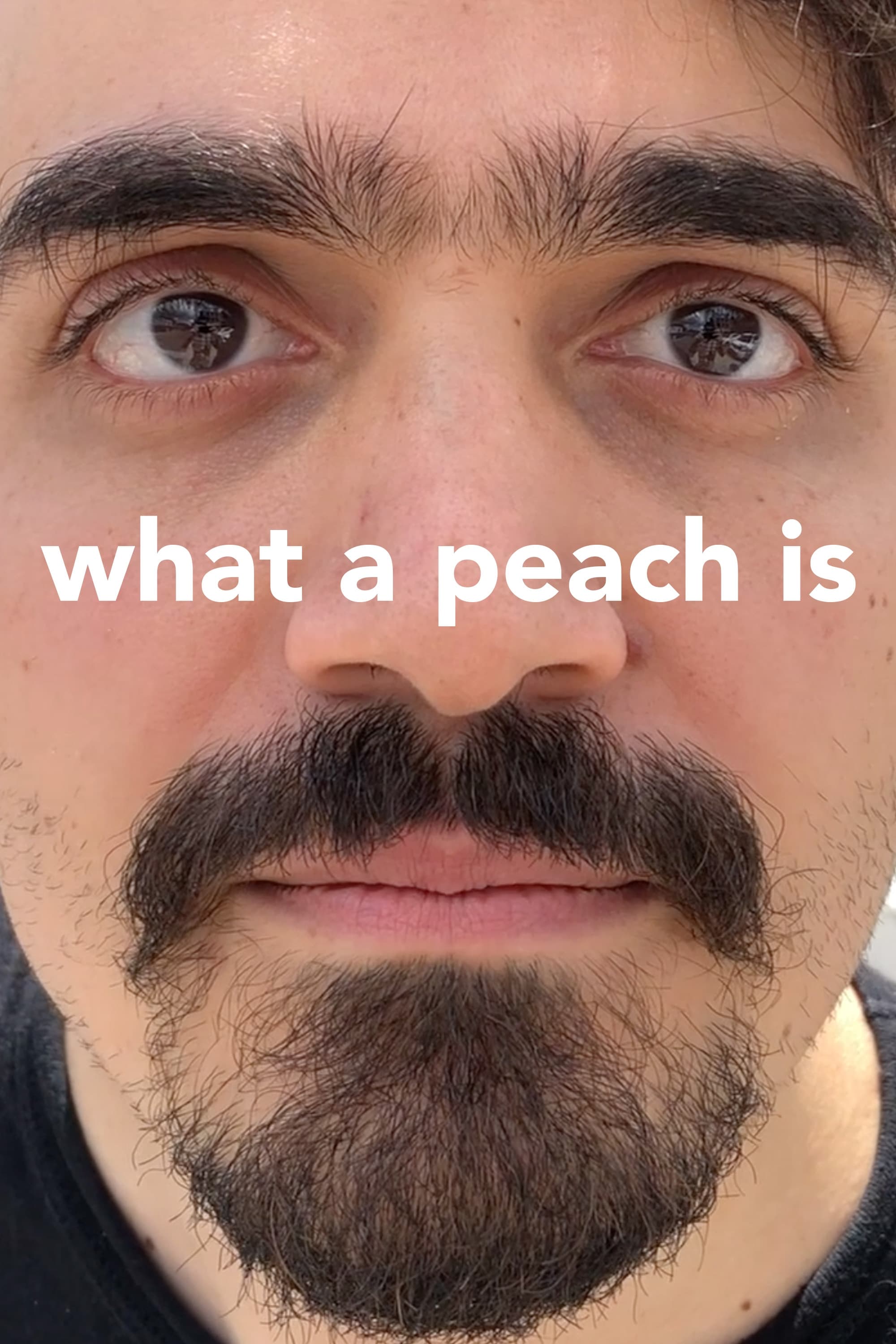 What a Peach Is | What a Peach Is