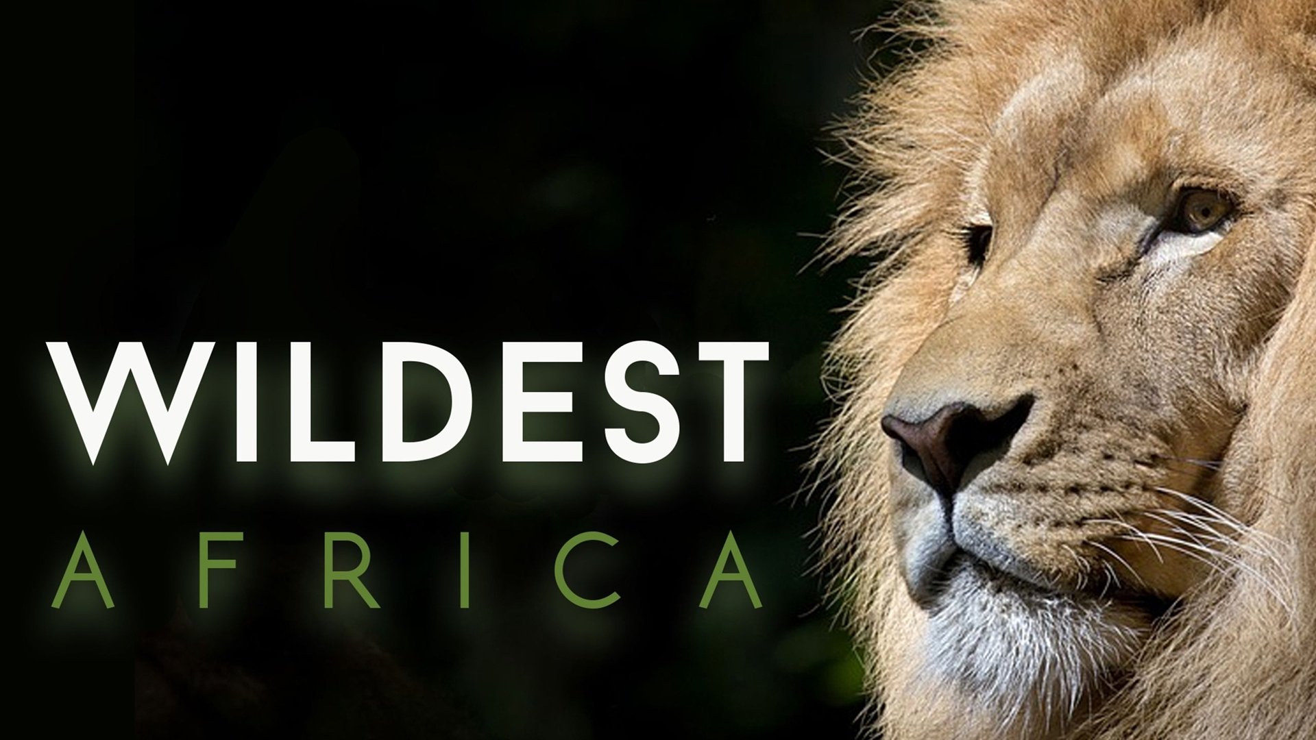Wildest Africa|Wildest Africa