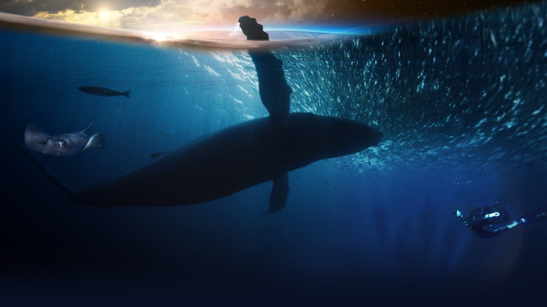 Blue Planet Live|Blue Planet Live