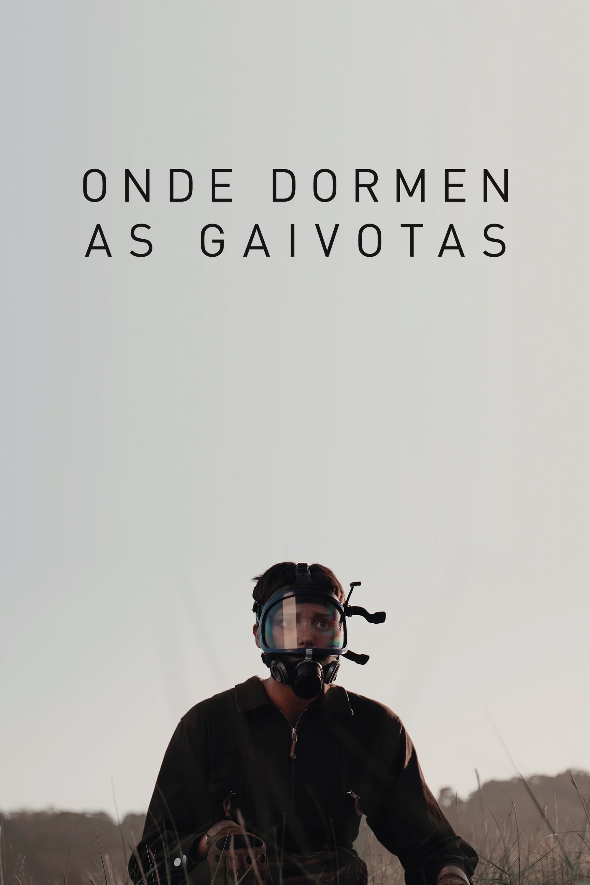 Onde dormen as gaivotas | Onde dormen as gaivotas