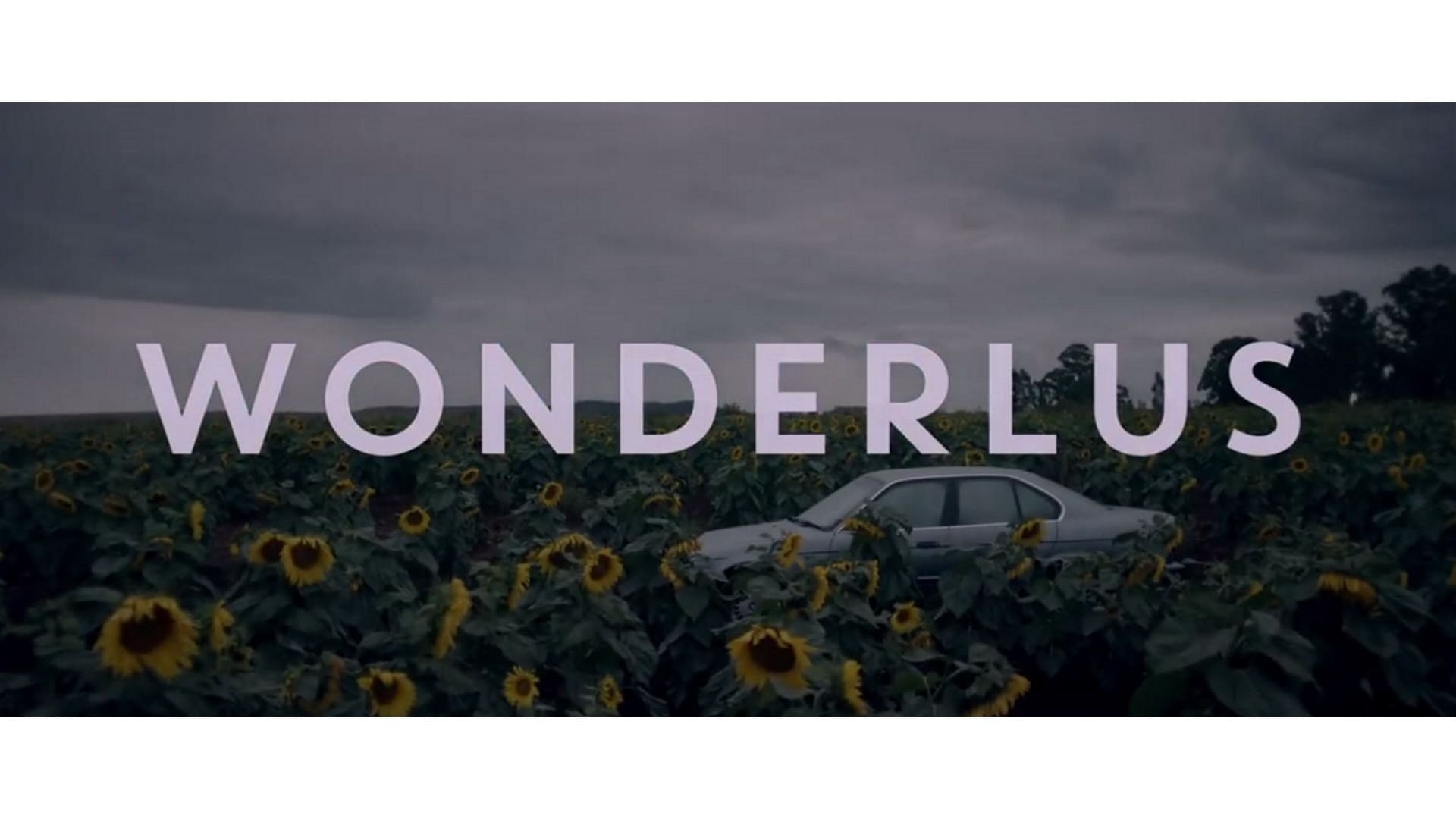 Wonderlus|Wonderlus