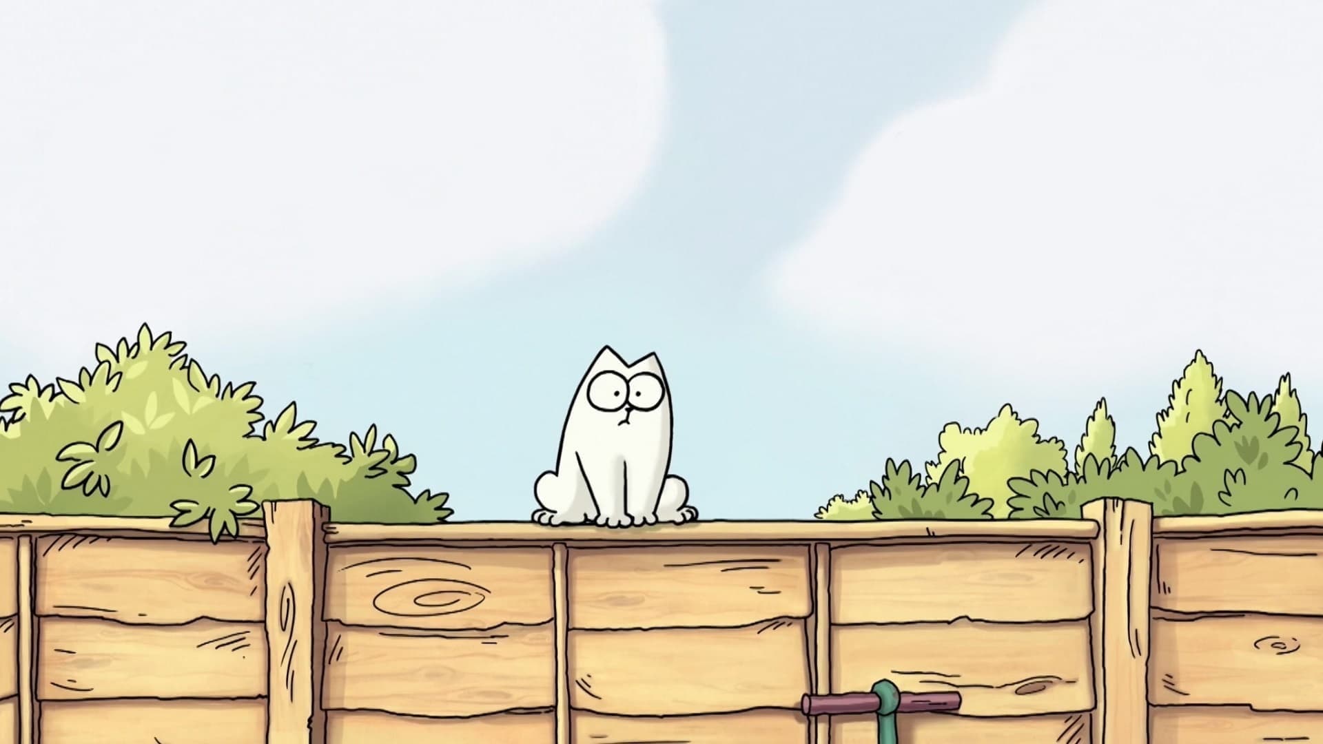 Simon’s Cat|Simon’s Cat