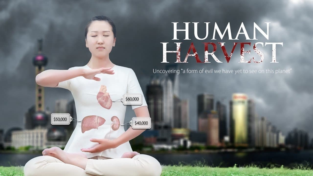 Human Harvest|Human Harvest