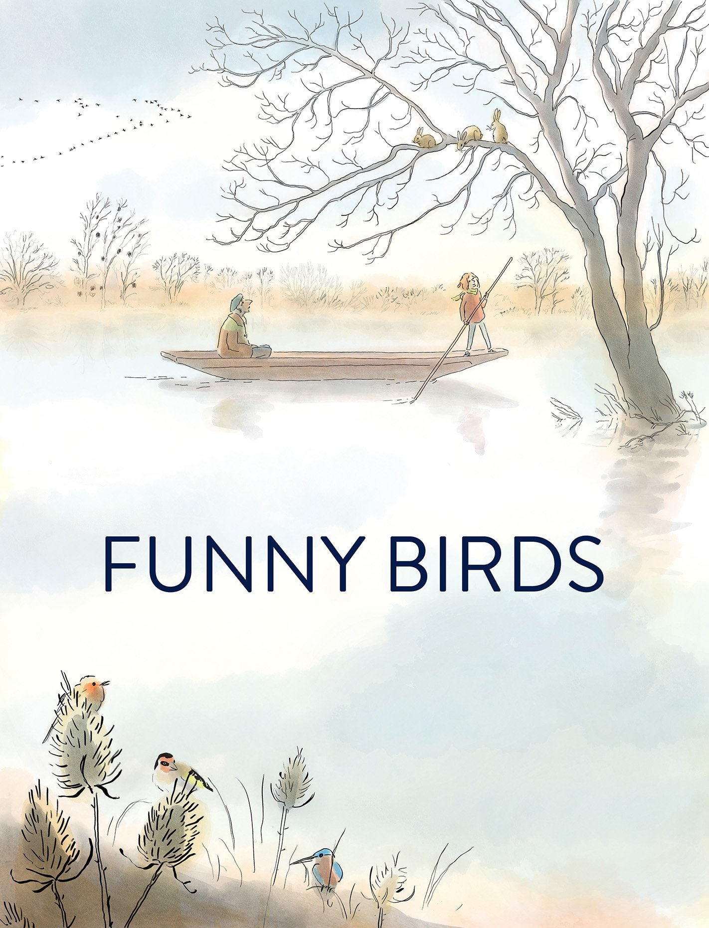 Drôles d'oiseaux