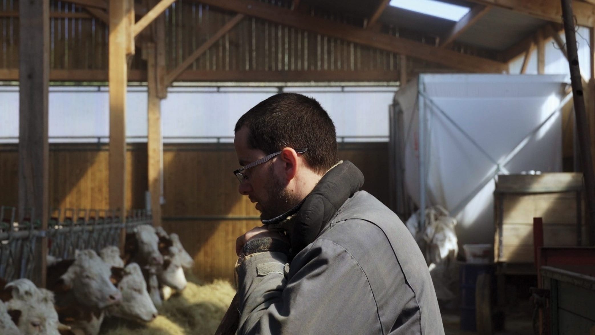 Cyrille, agriculteur, 30 ans, 20 vaches, du lait, du beurre, des dettes|Cyrille, agriculteur, 30 ans, 20 vaches, du lait, du beurre, des dettes